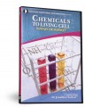 Chemicals to Living Cell: Fantasy or Science? DVD