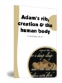 Adam’s rib, creation & the human body
