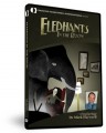 Elephants in the Room DVD